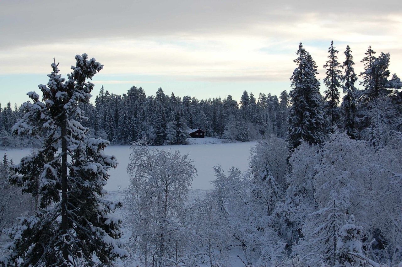 Råbjørnhytta. Foto: Kristin Baune Bochud Råbjørnhytta. Foto: Kristin Baune Bochud