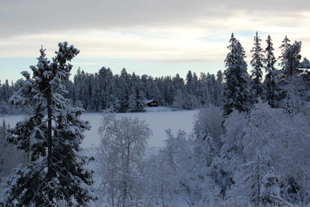 Råbjørnhytta. Foto: Kristin Baune Bochud Råbjørnhytta. Foto: Kristin Baune Bochud