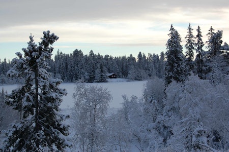 Råbjørnhytta. Foto: Kristin Baune Bochud