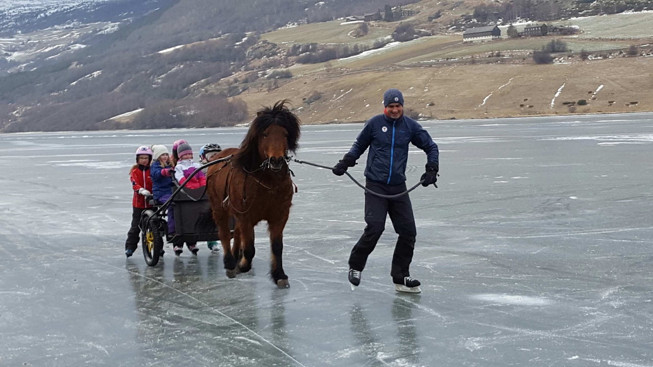  PÅ TYNN IS: Bloggeren (til høyre) på snøfritt vintereventyr med skøyter og hest som fremkomstmiddel i stedet for Madshus og Blå Swix. Foto: Kjersti Frackmann Strass.
