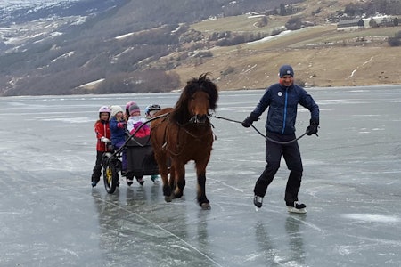  PÅ TYNN IS: Bloggeren (til høyre) på snøfritt vintereventyr med skøyter og hest som fremkomstmiddel i stedet for Madshus og Blå Swix. Foto: Kjersti Frackmann Strass.