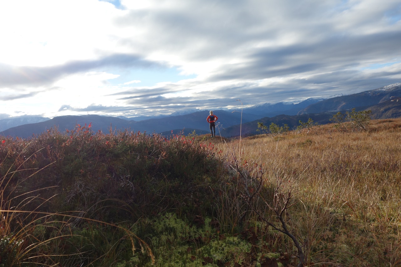 I staden for å skremme meg sjølv ved å sjå gjennom løypa og den lange distansen eg skal springe, ser eg heller på bileter frå området og let meg inspirere av det flotte naturen eg skal få sjå og oppleve undervegs. I staden for å skremme meg sjølv ved å sjå gjennom løypa og den lange distansen eg skal springe, ser eg heller på bileter frå området og let meg inspirere av det flotte naturen eg skal få sjå og oppleve undervegs.