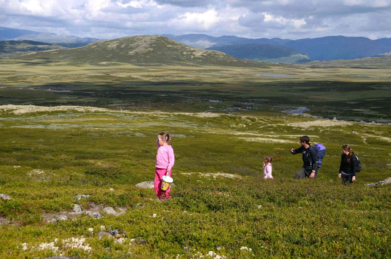 Foto: Sandra Lappegard Foto: Sandra Lappegard