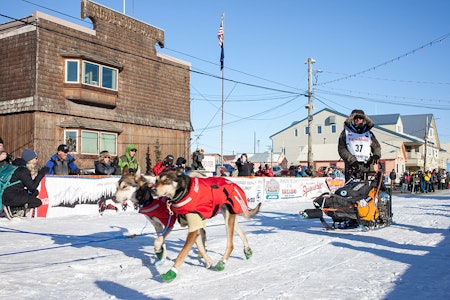 NESTEN I MÅL: Robert Sørlie kjører inn på en 13. plass. iditarod nordmenn