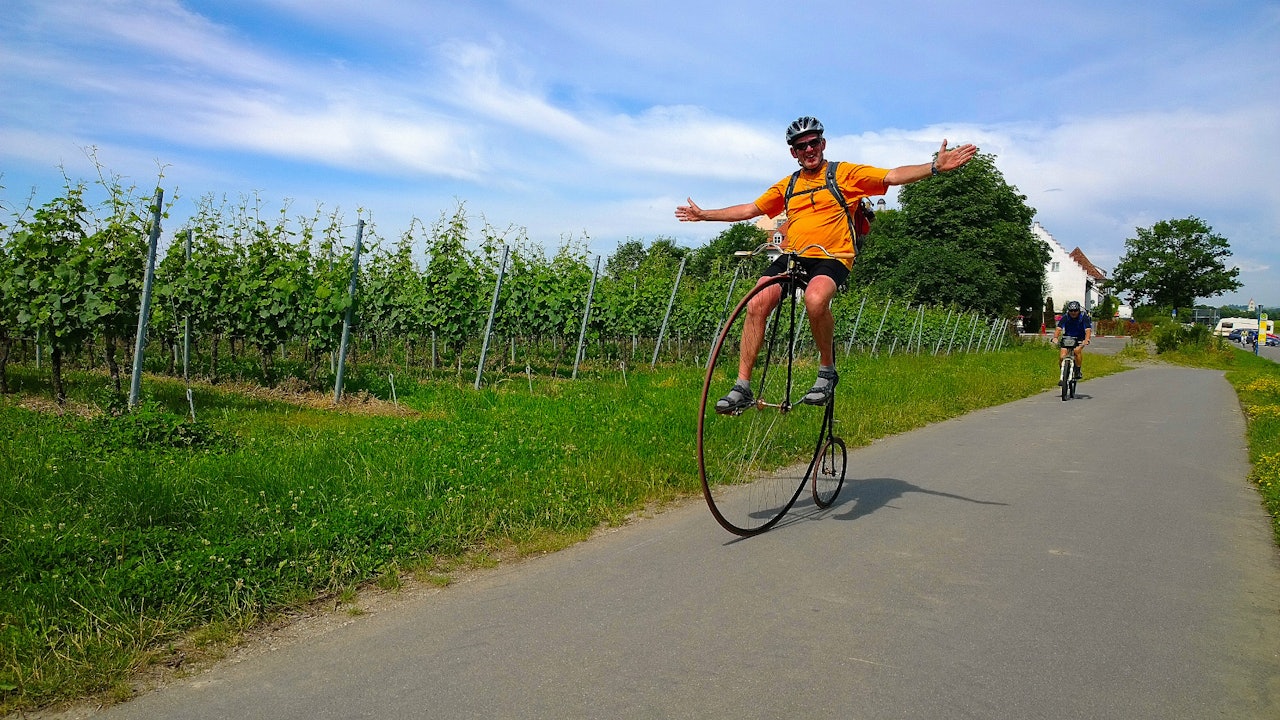 Bodensee Radweg kan sykles av alle som kan sykle.