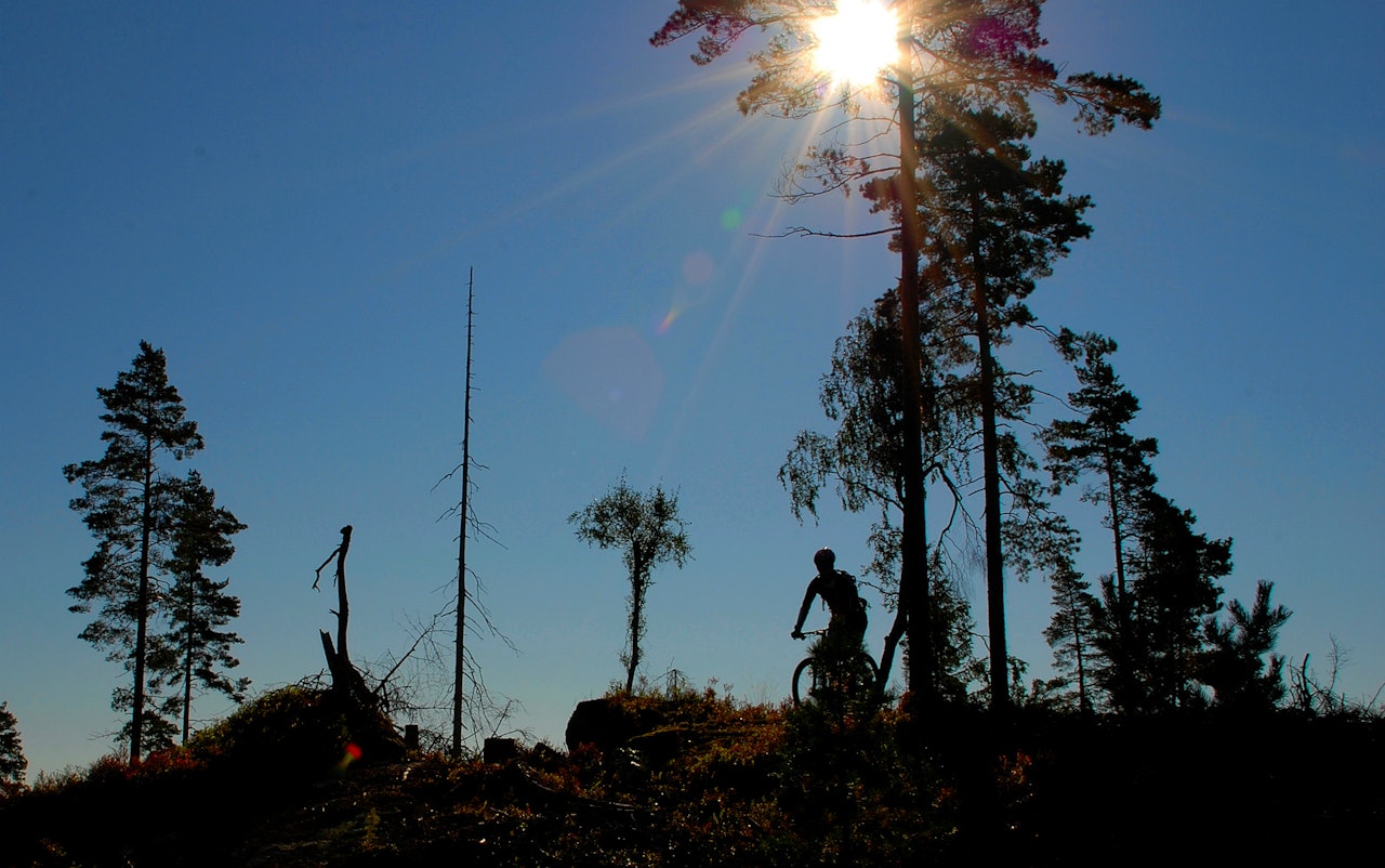 Å sykle utenfor allfarvei er en kunst. Å sykle utenfor allfarvei er en kunst.