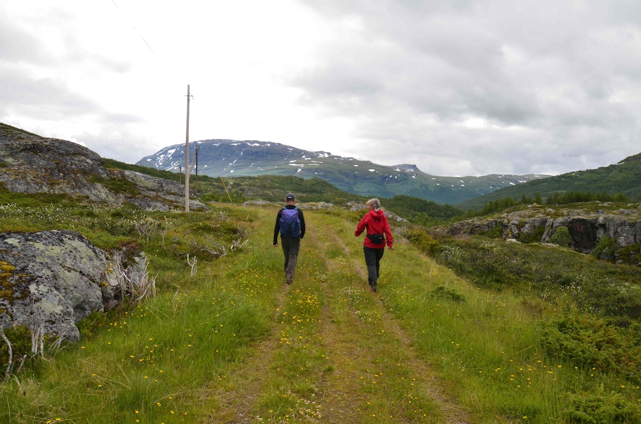 Erik Sørbye og Tine Schauer Eri på gjengrodde stier. Foto: Ida Eri Sørbye