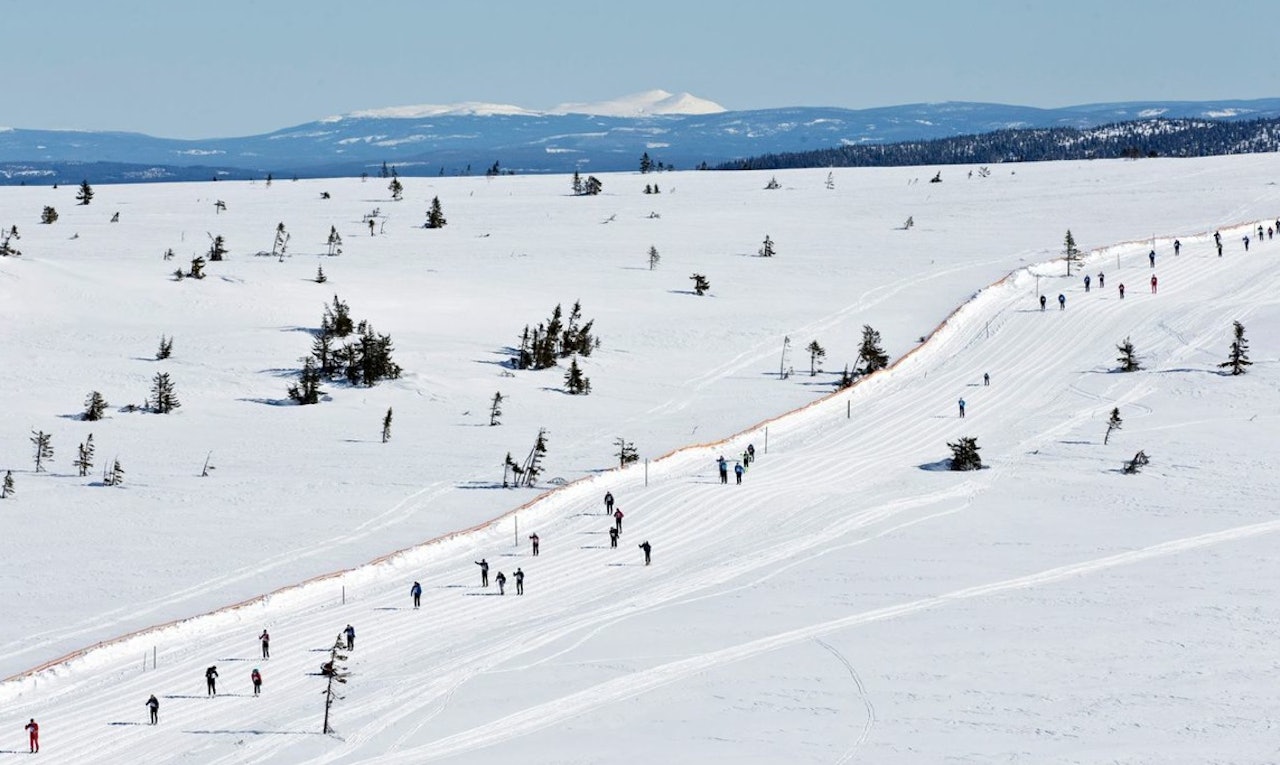 BIRKEN 2015: Når man først skal gå Birken, var 2015 et godt år. Foto: Birken AS BIRKEN 2015: Når man først skal gå Birken, var 2015 et godt år. Foto: Birken AS