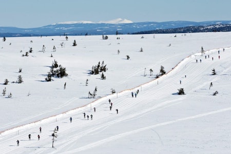 BIRKEN 2015: Når man først skal gå Birken, var 2015 et godt år. Foto: Birken AS BIRKEN 2015: Når man først skal gå Birken, var 2015 et godt år. Foto: Birken AS