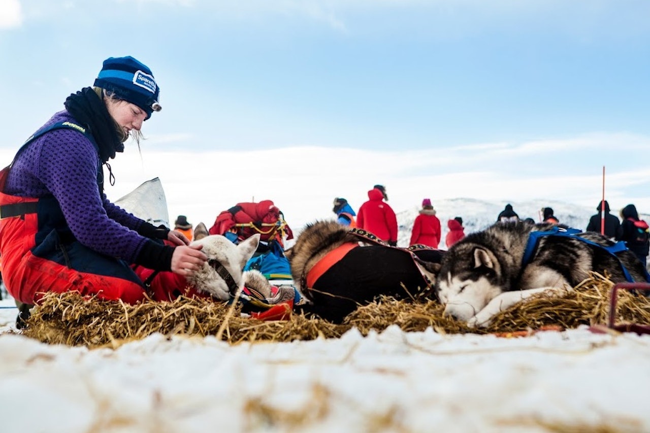 På Skoganvarre masserer Marte den såre skuldra til Juluss. Foto: Wanda Nathalie Nordstrøm  Fra en debut Finnmarksløpet
