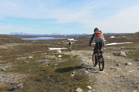 SYKKELFERIE I FINNMARK: Terrengsykling på Finnmarksvidda. Foto: Jon Vidar Bull