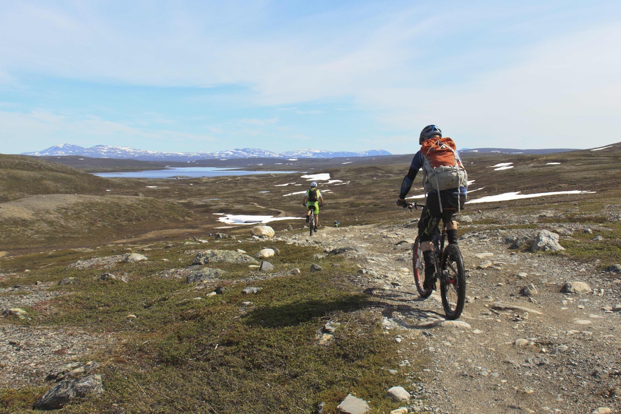 SYKKELFERIE I FINNMARK: Terrengsykling på Finnmarksvidda. Foto: Jon Vidar Bull