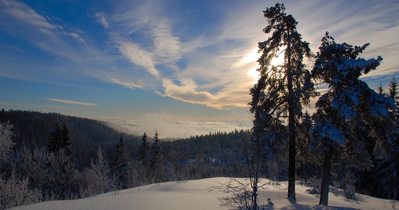 Oslomarka byr på kortreist skiglede for oss Oslofolk. Gleden med å være på tur, når sitt klimaks når marka bader i sol mens Oslo sentrum (i bakgrunnen) er pakket inn i tåke. Oslomarka byr på kortreist skiglede for oss Oslofolk. Gleden med å være på tur, når sitt klimaks når marka bader i sol mens Oslo sentrum (i bakgrunnen) er pakket inn i tåke.