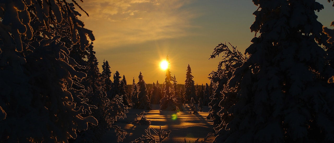 Hedemarksvidda og skiløypene på Løten kan være årets beste julegave for oss som planlegger å tilbringe jula i Oslo-området.