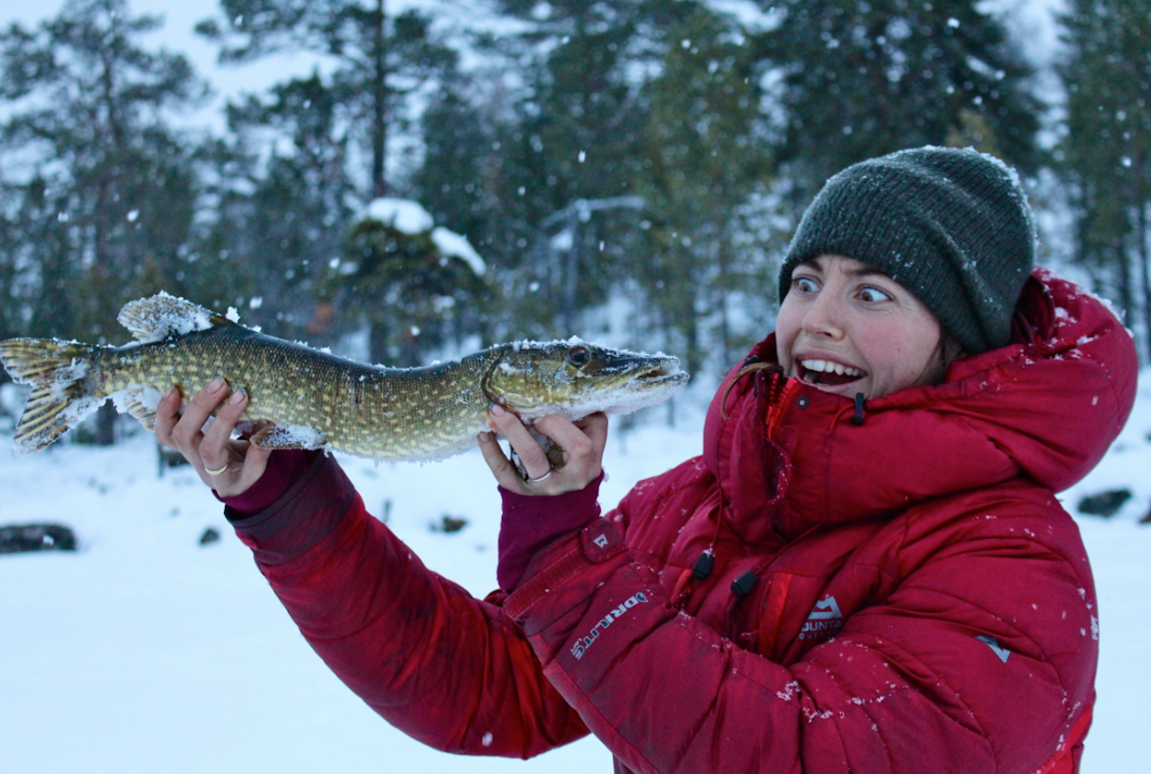 STYGGFIN: Vannene i Øvre Pasvik er gjerne grunne, og huser mange spennende skapninger. Elise Theoline nyter synet av den groteskt vakre gjedda. Foto: Andreas Skagøy STYGGFIN: Vannene i Øvre Pasvik er gjerne grunne, og huser mange spennende skapninger. Elise Theoline nyter synet av den groteskt vakre gjedda. Foto: Andreas Skagøy