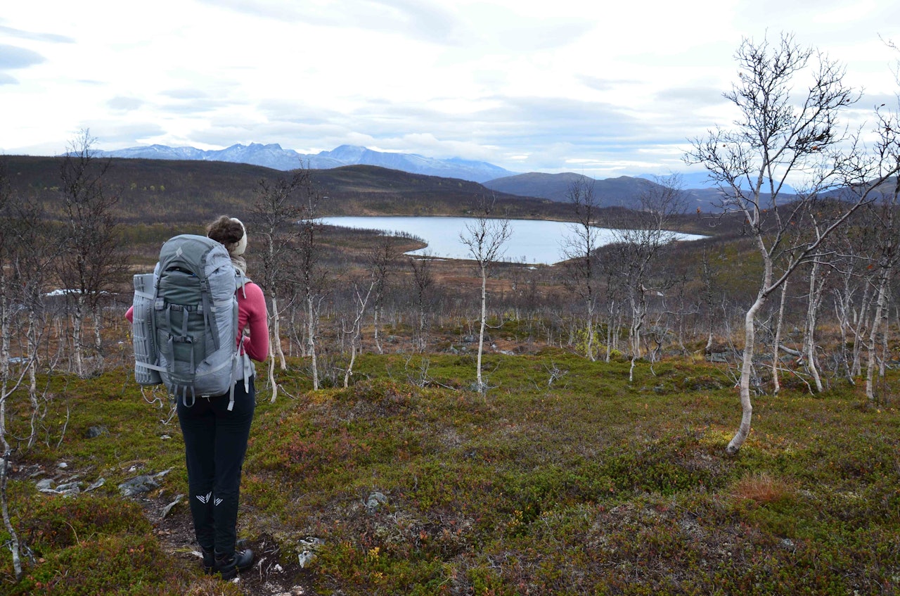 Fortsatt urørt. Foto: Ida Eri Sørbye Fortsatt urørt. Foto: Ida Eri Sørbye