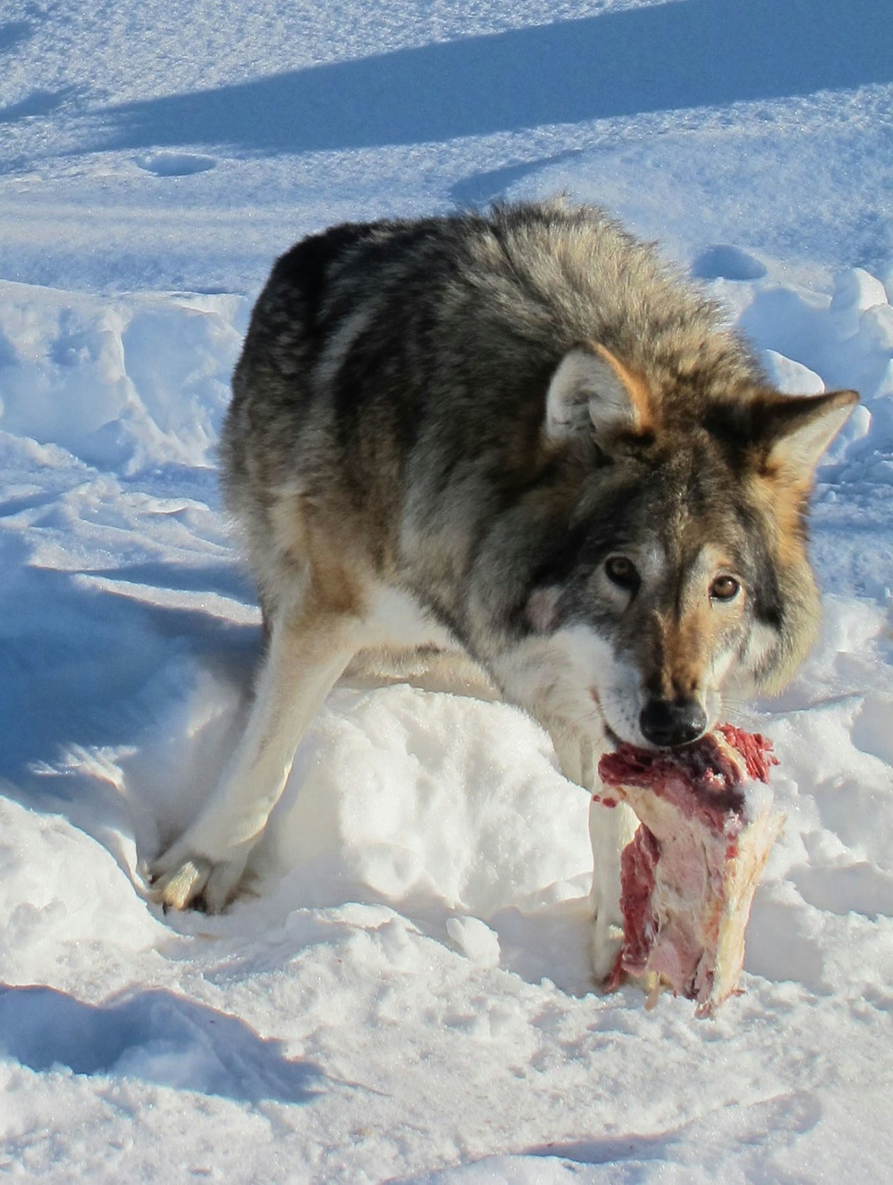 Foto: Ida Glemminge Foto: Ida Glemminge