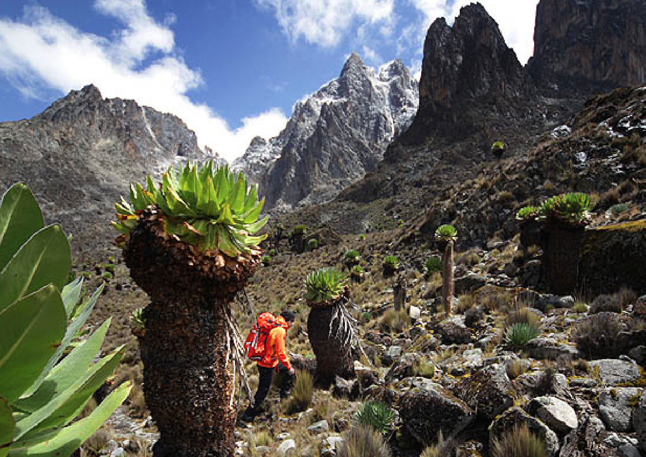 Høyest er ikke alltid best. Foto: Matti Bernitz Høyest er ikke alltid best. Foto: Matti Bernitz