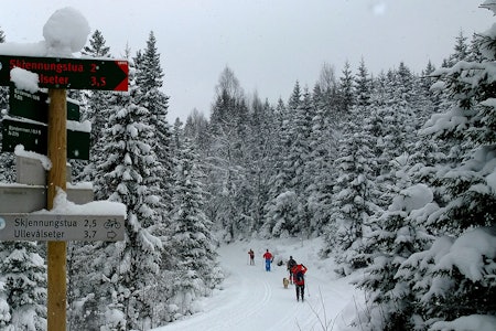 Skitur eller sykkeltur? I dag foretrekker jeg skitur. Skitur eller sykkeltur? I dag foretrekker jeg skitur.
