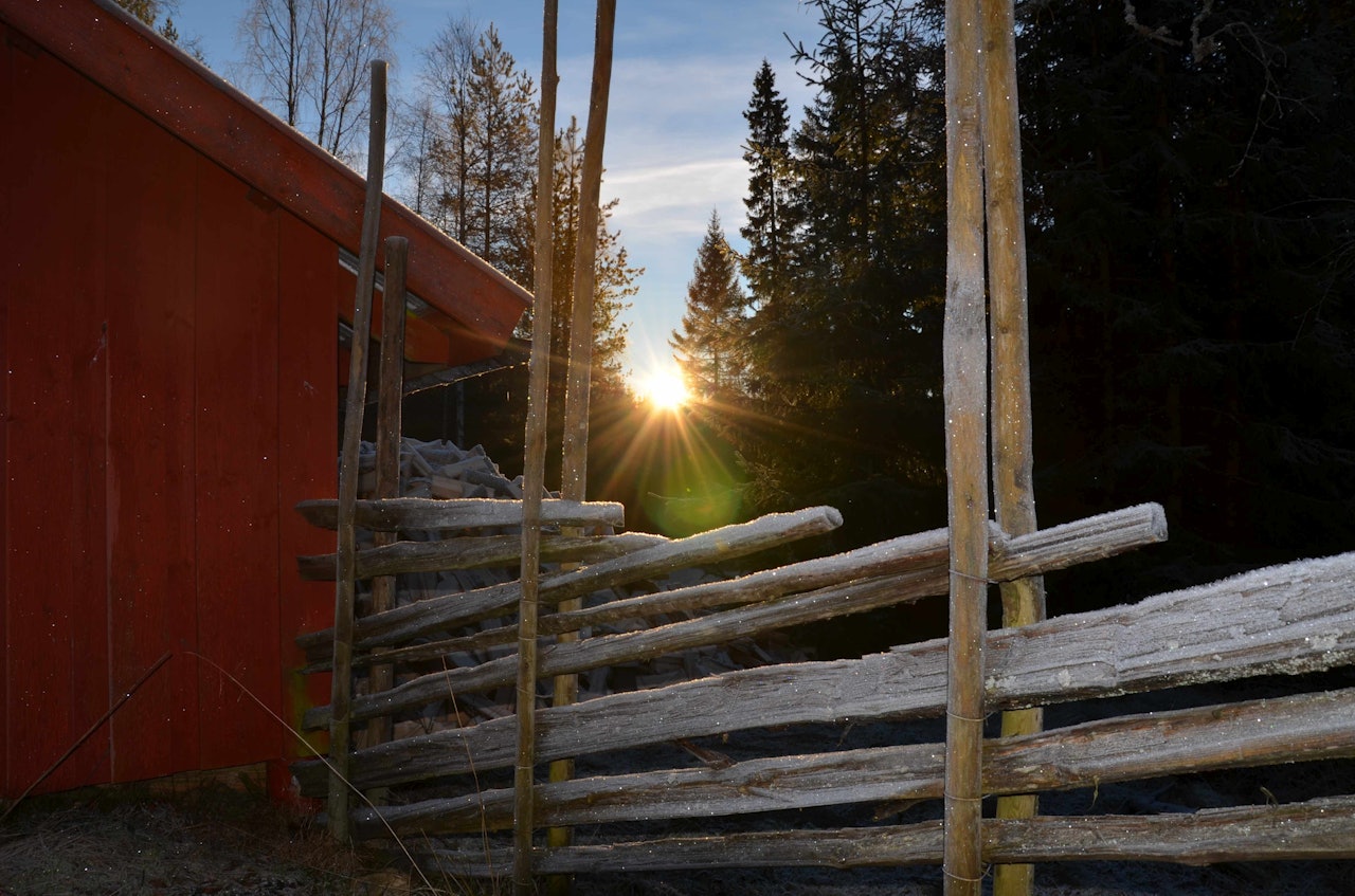 Soloppgang ved hytta Bekkestua i Romeriksåsene. Foto: Ida Sørbye