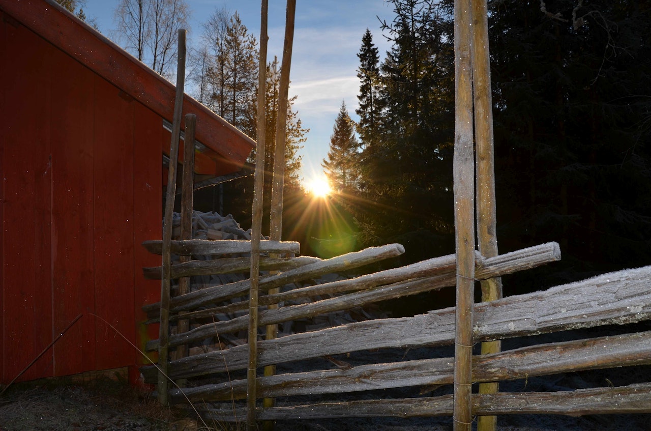 Soloppgang ved hytta Bekkestua i Romeriksåsene. Foto: Ida Sørbye Soloppgang ved hytta Bekkestua i Romeriksåsene. Foto: Ida Sørbye