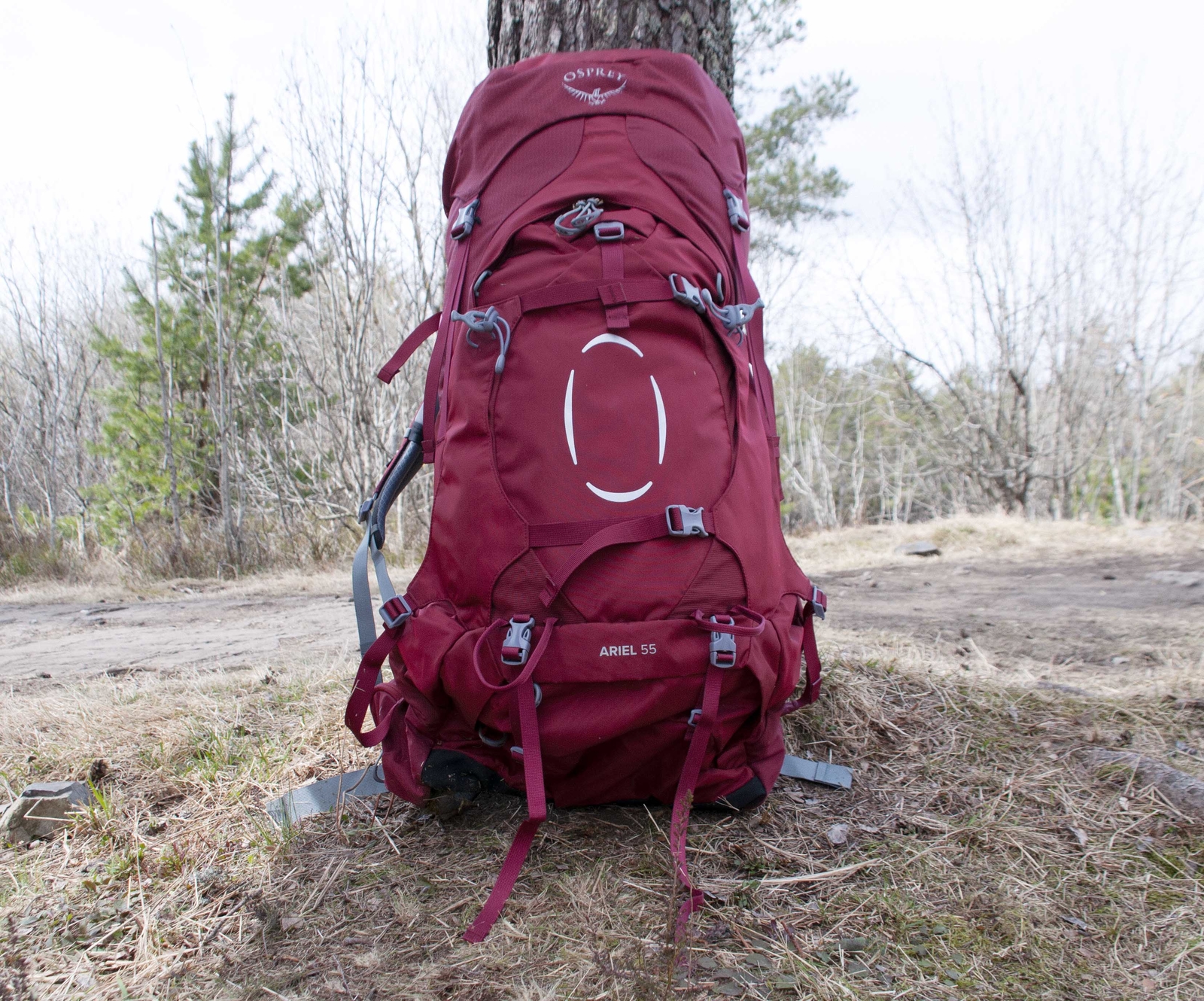 Osprey shop ariel 55