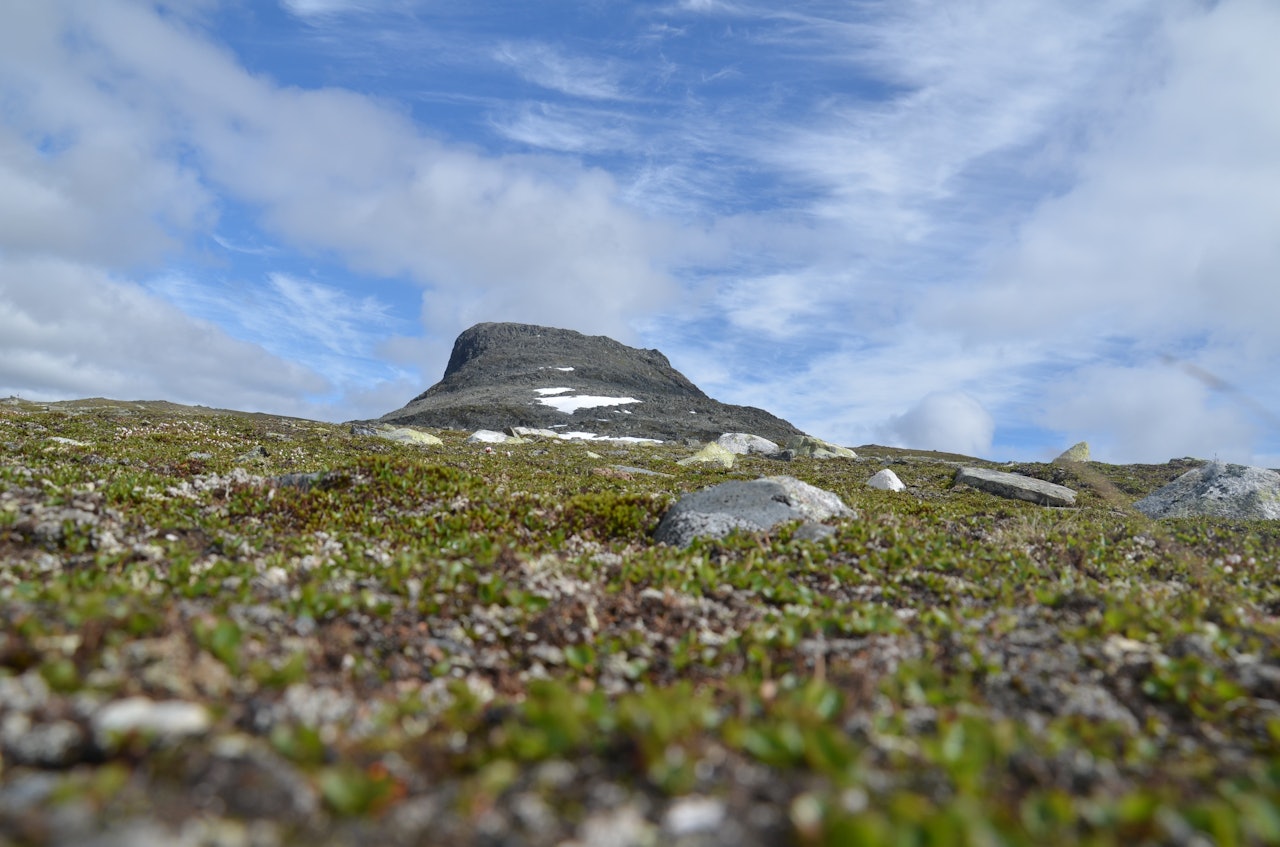 Foto: Ida Eri Sørbye Foto: Ida Eri Sørbye