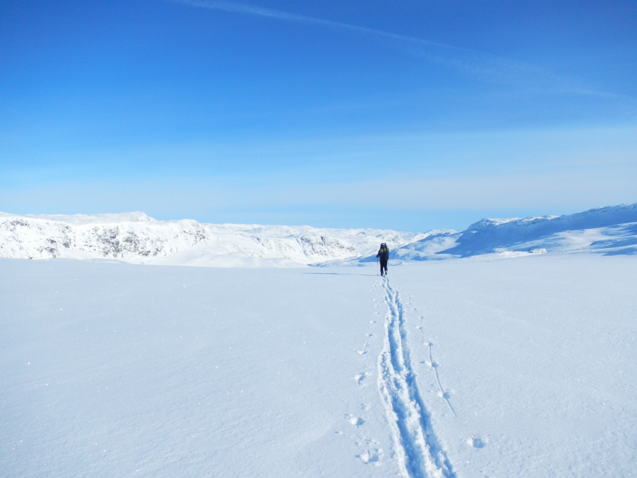 Foto: Ida Eri Sørbye Foto: Ida Eri Sørbye