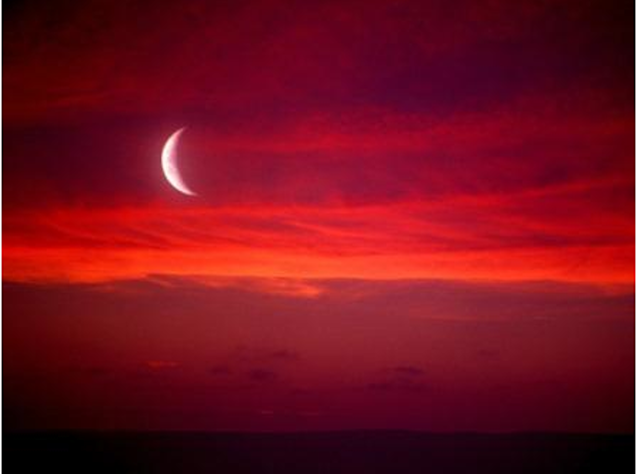 Foto: Hvitserk Foto: Hvitserk