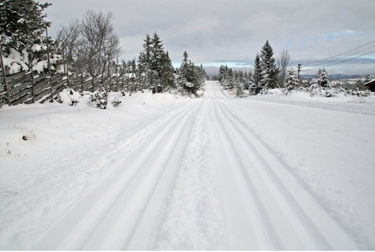 Slik ser det ut på Sjusjøen i dag. Foto: sjusjoen.com Slik ser det ut på Sjusjøen i dag. Foto: sjusjoen.com