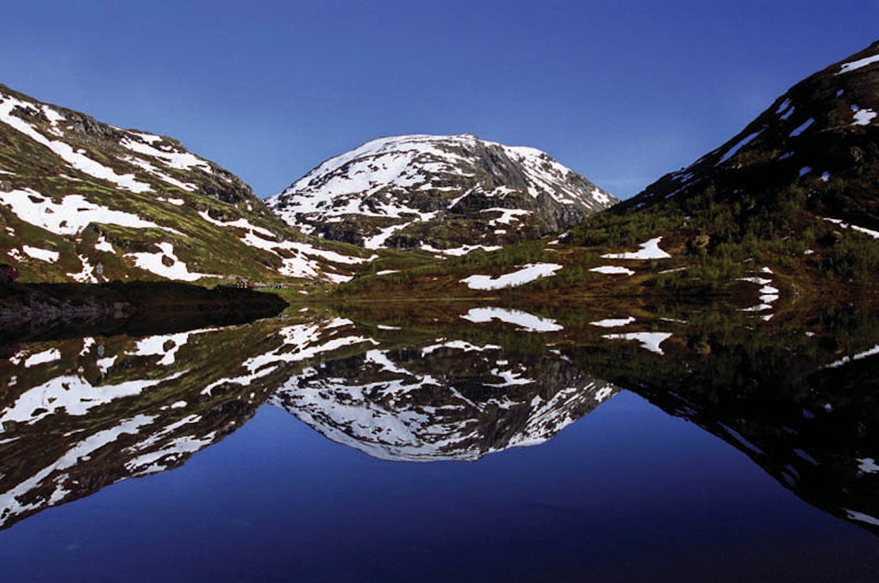 Foto: Innovasjon Norge Foto: Innovasjon Norge