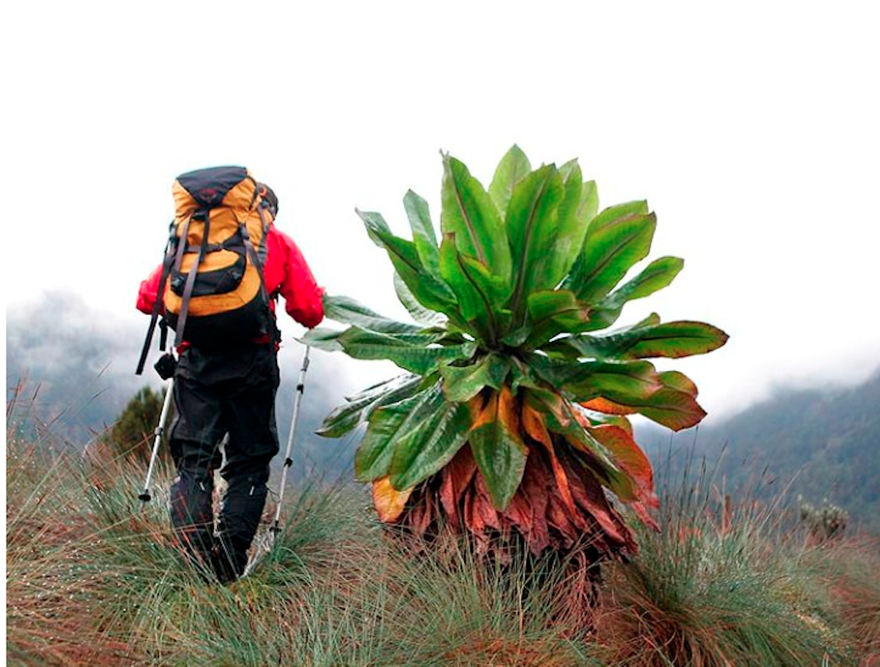 Godt utstyr er viktig, men kan ofte kjøpes brukt. Foto: Matti Bernitz/hvitserk.no Godt utstyr er viktig, men kan ofte kjøpes brukt. Foto: Matti Bernitz/hvitserk.no