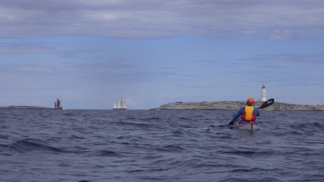 11406204_10205821626733947_2064986623266707101_o 11406204_10205821626733947_2064986623266707101_o