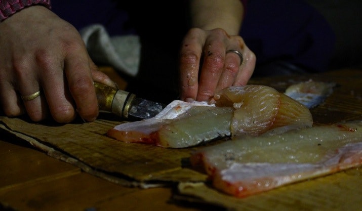 Elise Theoline skjærer skinnfrie gjedde-fileter. En skarp og god kniv er et må-ha på de fleste turer. filetering av fisk