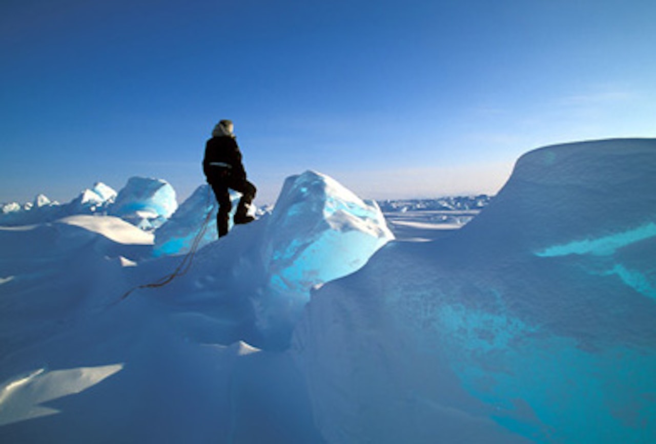 Foto: Baffinbabes.com Foto: Baffinbabes.com