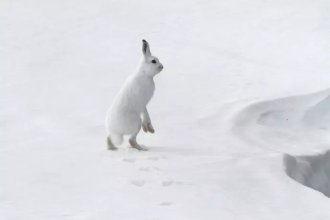 Skjermbilde 2017-03-01 kl. 13.15.12 Skjermbilde 2017-03-01 kl. 13.15.12