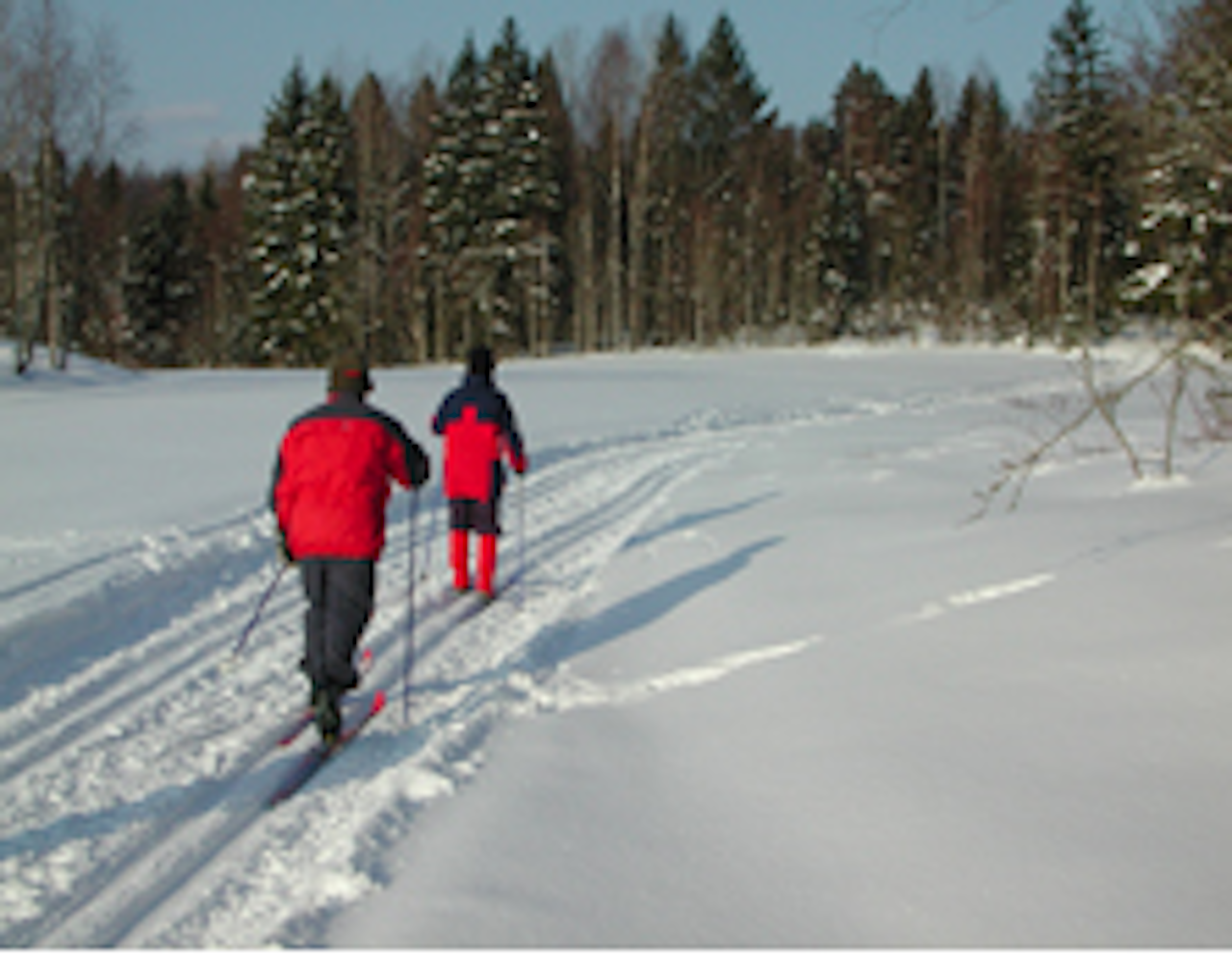 Foto: Frifo Foto: Frifo