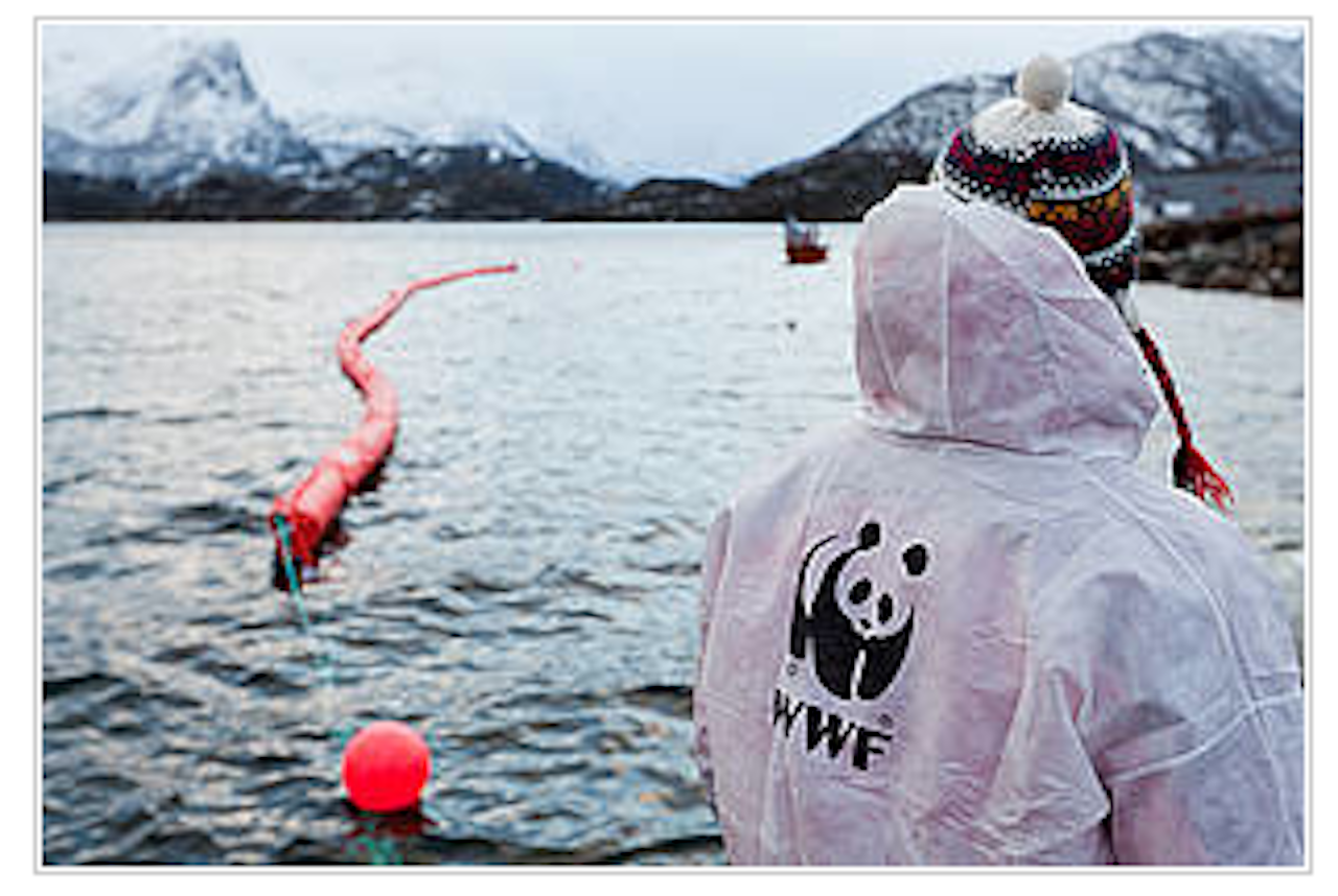 Den rødgrønne regjeringens budsjett øker presset på natur og klima, mener WWF.Foto: Jørgen Kvalsvik