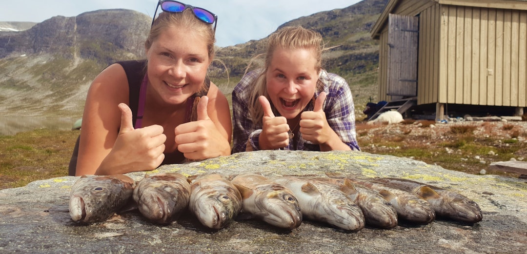 Skjermbilde 2018-07-13 kl. 00.35.18 Skjermbilde 2018-07-13 kl. 00.35.18