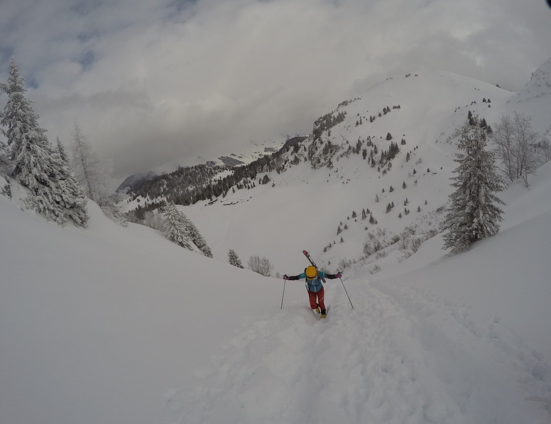 image4 (2) image4 (2)