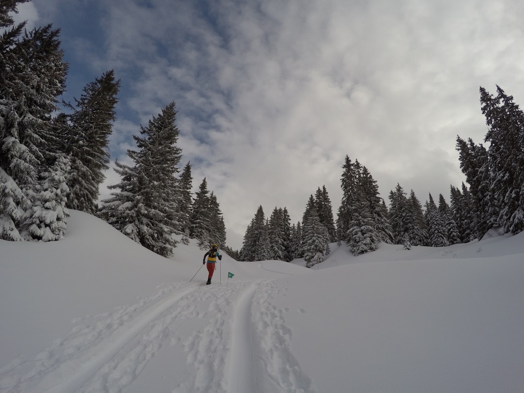 image3 (8) image3 (8)