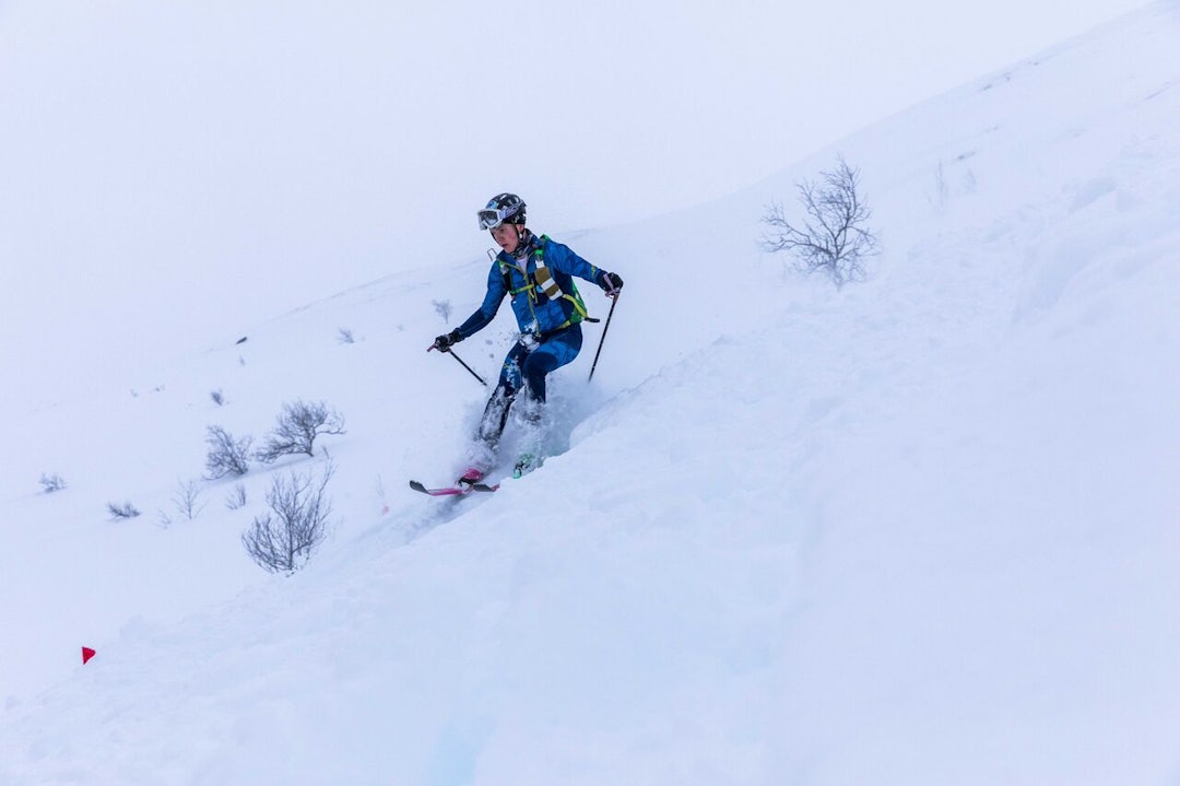 _EO_7305_preview _EO_7305_preview