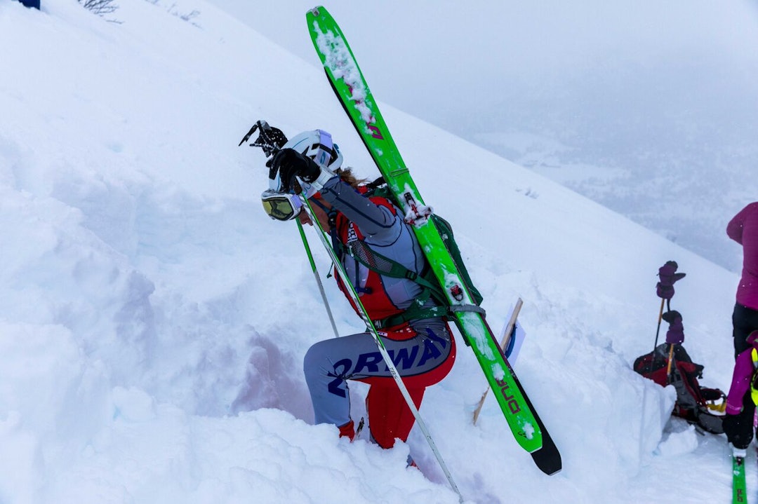 _EO_7337_preview _EO_7337_preview