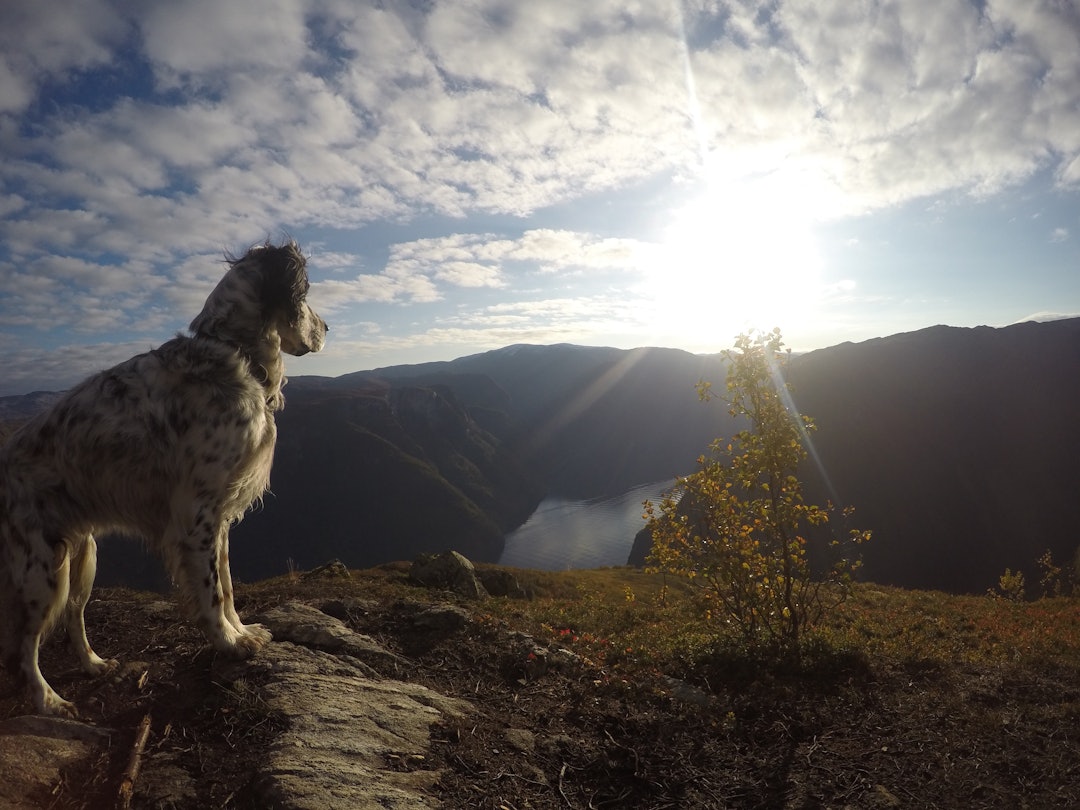 image3 (3) image3 (3)