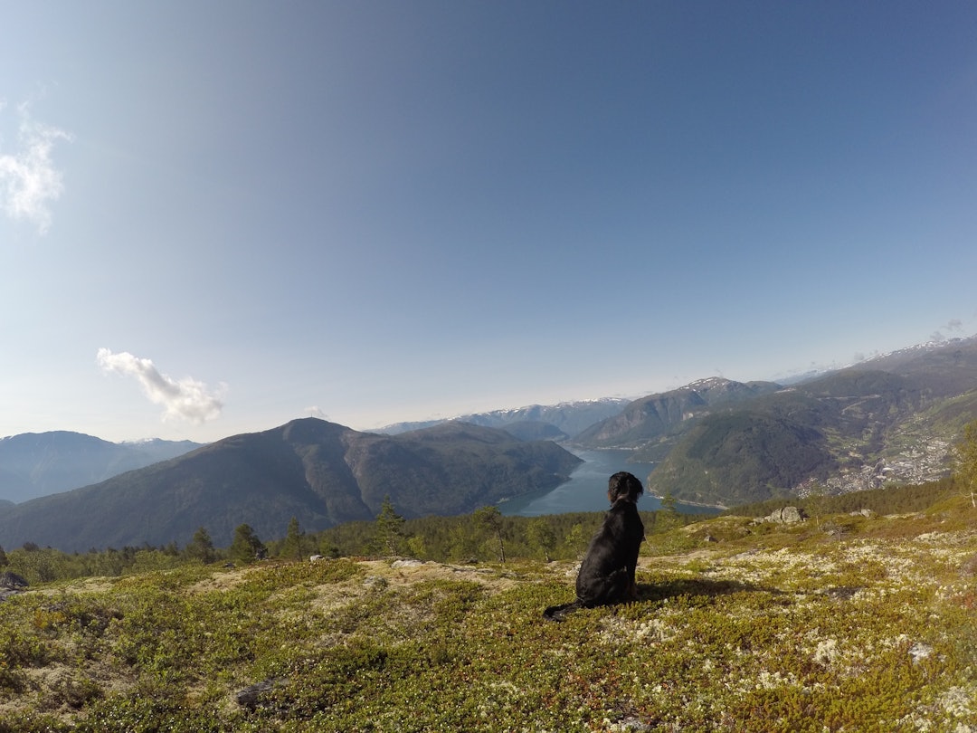 image3 (4) image3 (4)