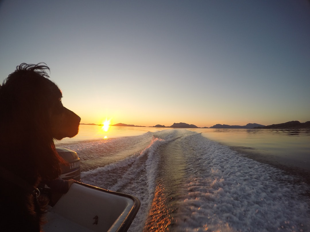 image2 (5) image2 (5)