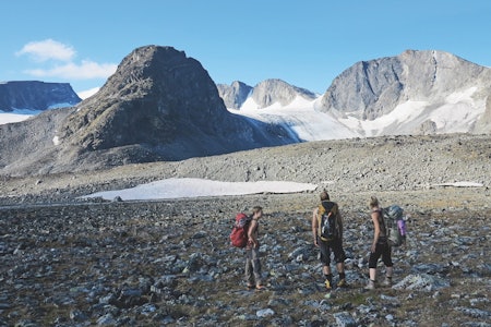 TOPPTURSAMLING: Massivet rundt Grotbreen gir mye rom for utforskning. Grotbreahesten i front blir dagens siste topp i runden. fjellturer i jotunheimen