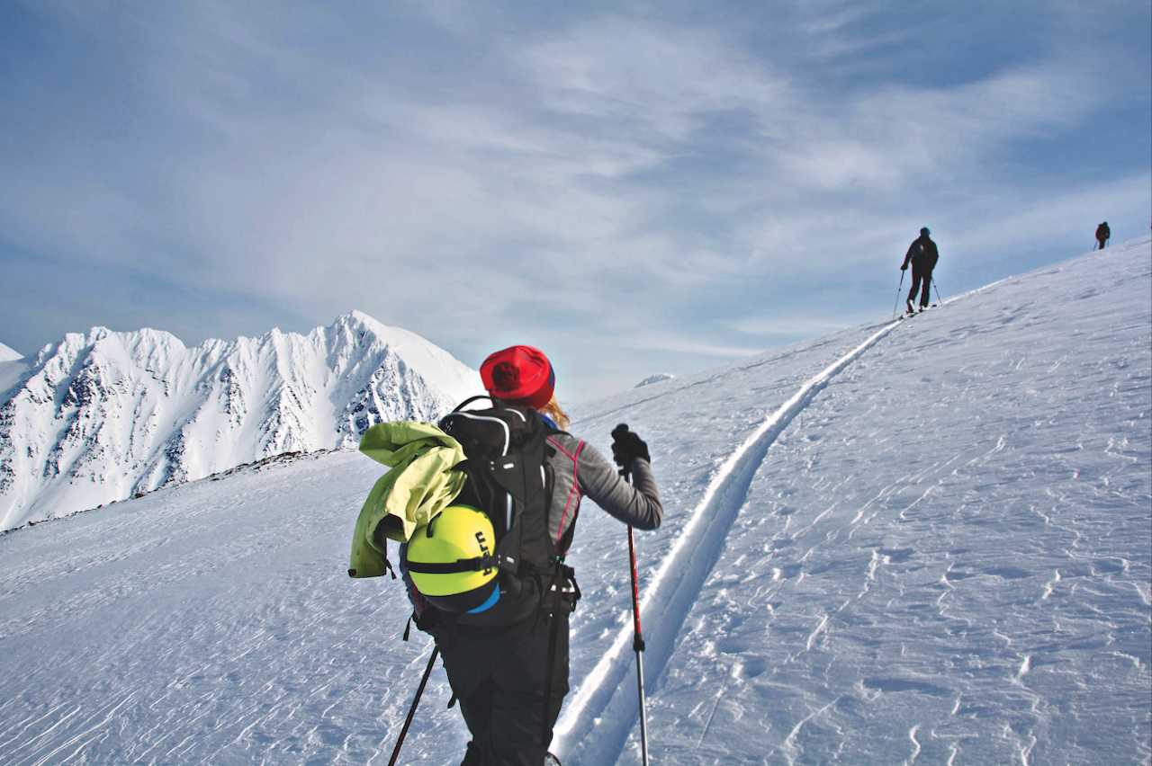 TEST AV TELESKOPSTAVER: I tillegg til materialvalg og ledd, er det mange andre viktige detaljer å være oppmerksom på når du skal velge teleskopstav for toppturen. Foto: Håvard Lium TEST AV TELESKOPSTAVER: I tillegg til materialvalg og ledd, er det mange andre viktige detaljer å være oppmerksom på når du skal velge teleskopstav for toppturen. Foto: Håvard Lium