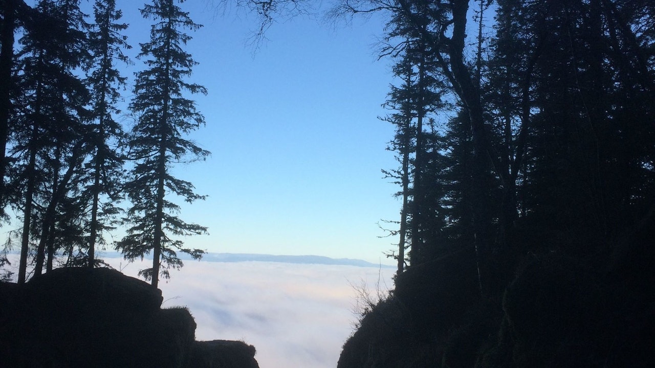 MØRKGANGA: En av Oslomarkas mest spektakulære sted, skriver kjentmann Anders Skaiå. Med ett står du på randen av en skarp, mektig kløft i fjellet og nær sagt kikker ned i avgrunnen. Foto: Anders Skaiå mørkgonga oslomarka
