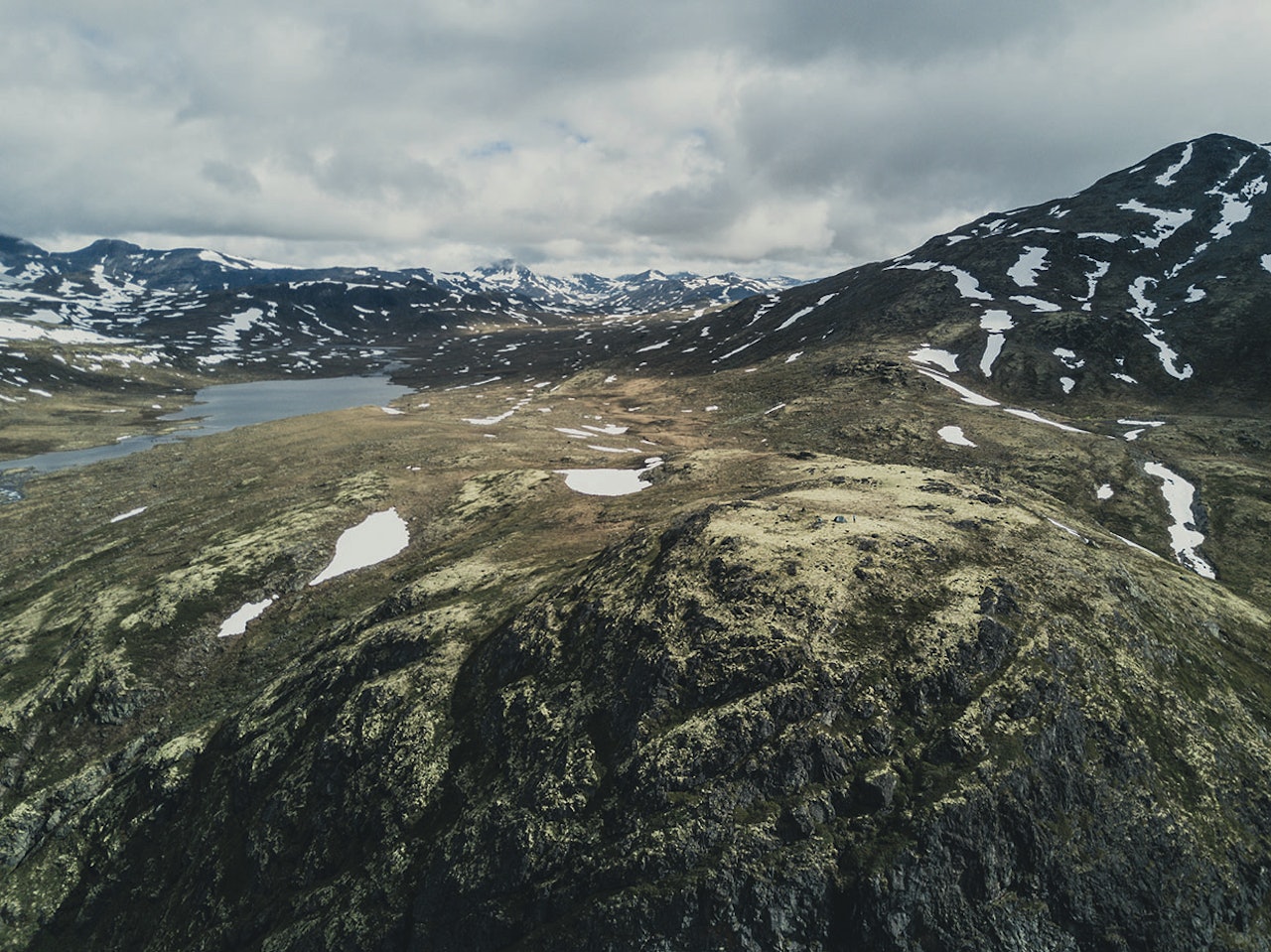 SER DU OSS? Her finst ingen fjellfie-kø, berre mjuk mose og uendeleg med utsikt. Foto: Line Hårklau